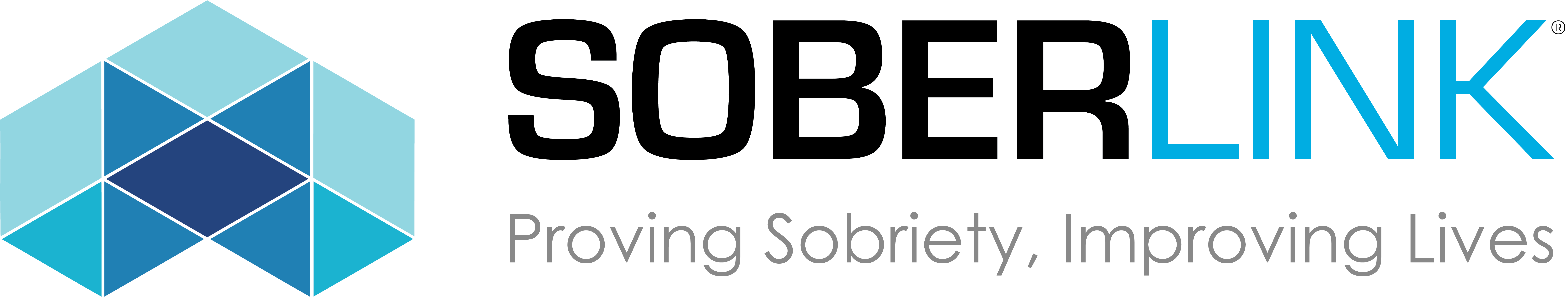Soberlink Logo Soberlink Logo